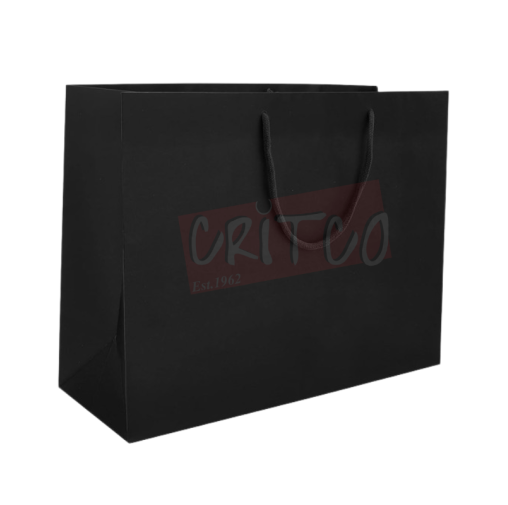 13X10X4.5 inch Black Bag