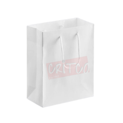 10X8X4 inch White Bag