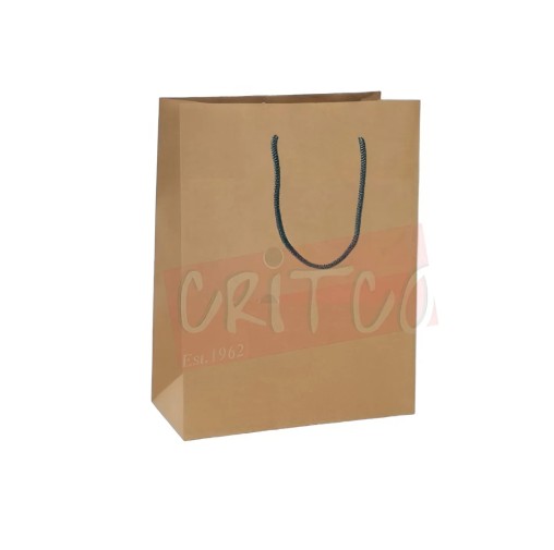 13X10X3.7 inch Kraft Bag